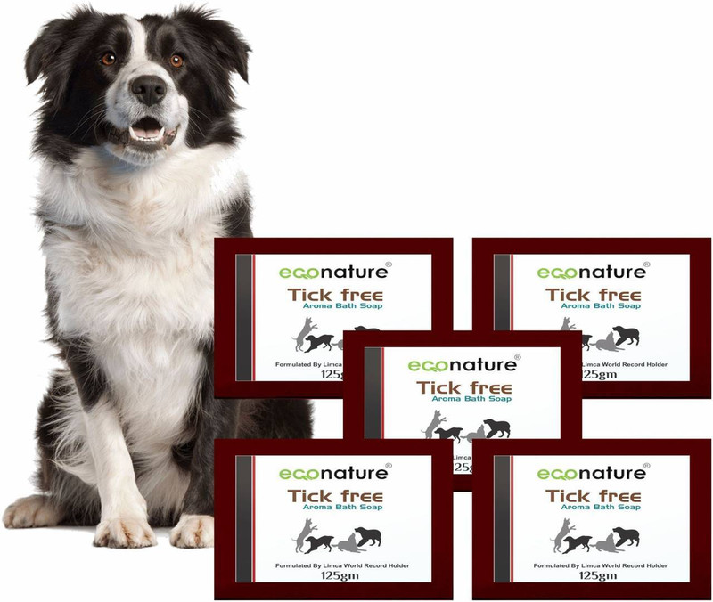 ECO NATURE Dog Soap Anti-dandruff, Allergy Relief Tick Free Aroma Dog, Cat Shampoo(625 g)