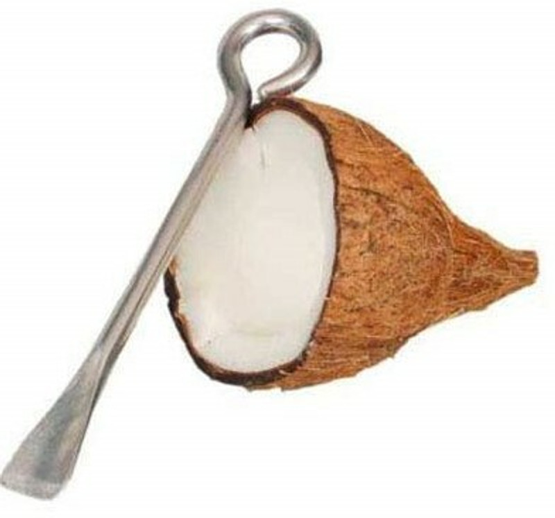 Divviks Coconut Cutting Tool, Stainless Steel Coconut Peeler Rod (Pack of 1) Straight Peeler(Silver)