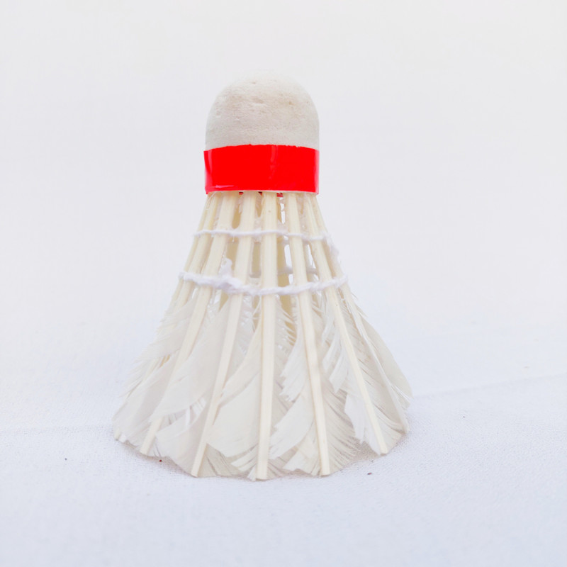 Clarkjan CLK11 feather white shuttle pack of 10 New Feather Shuttle - White(Medium, 77, Pack of 10)
