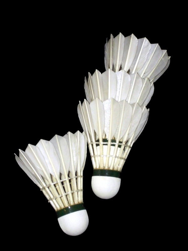 SIFRA HIGH QUALITY FEATHER SHUTTLE Feather Shuttle  - White(Fast, 79, Pack of 10)