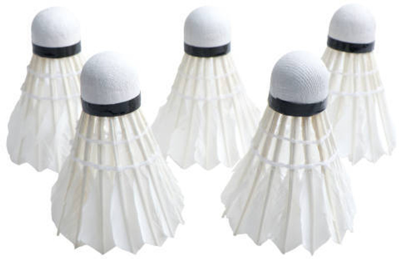 GOLDILUXE Badminton Shuttlecocks, 5pcs Plastic Shuttlecocks Stable & Durable Sports Plastic Shuttle  - Multicolor(Medium, 77, Pack of 5)