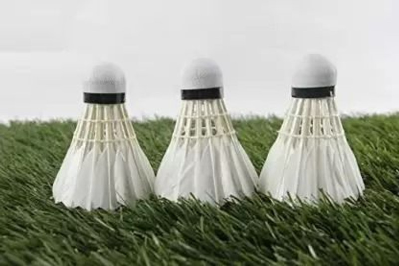 SEAGULL HAWKFIT_SHUTTLE_057 Feather Shuttle  - White(Fast, 79, Pack of 10)
