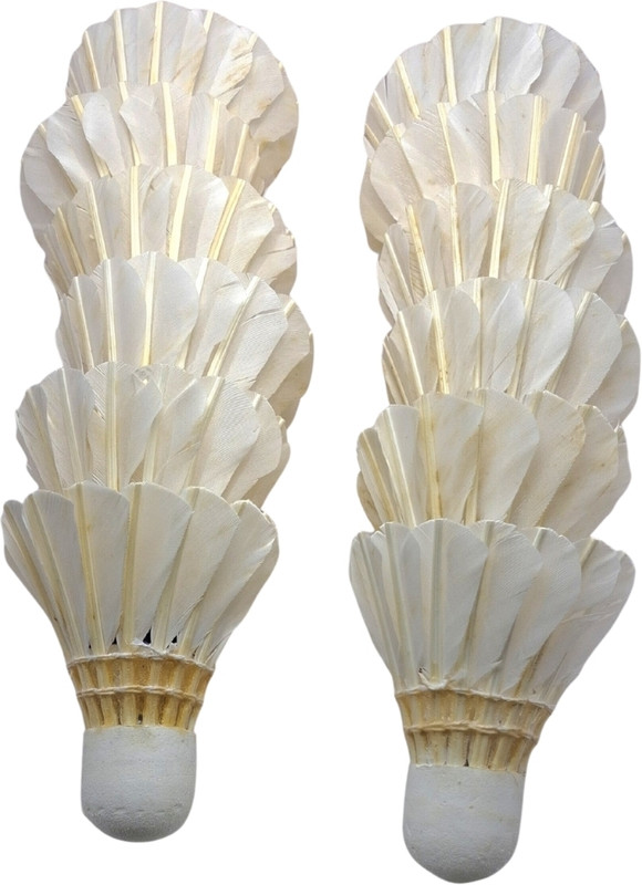 Kalashree creation 2025 Feather Shuttle  - White(Fast, 79, Pack of 12)