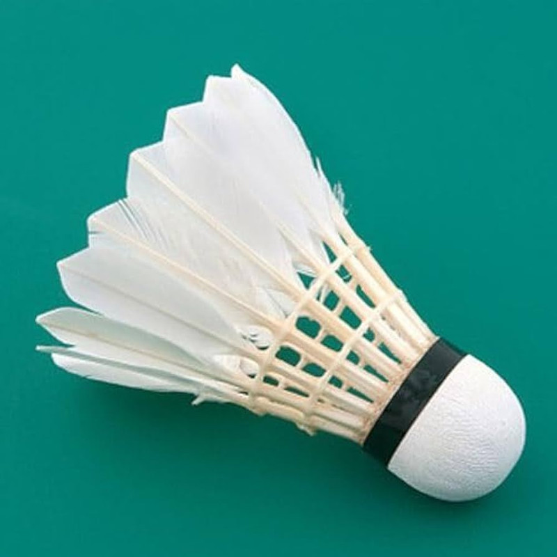 winexsports Medium Speed 77 i10 Classic Badminton Shuttlecocks Pack of 10 Feather Shuttle - White(Medium Fast, 78, Pack of 10)