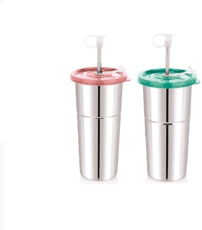 Porquepine 600 ML Stainless Steel Tumbler with Executive Lid, Straws with Brush(Multicolor)