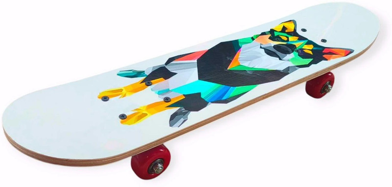 NOVICZ fox 23.5 inch x 6 inch Skateboard(White, Pack of 1)