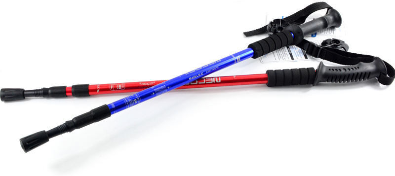 RAIYARAJ 1 Section Trekking Pole(Metal)