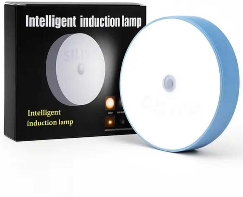 AMAY CREATION Induction Lamp Motion Sensor Night Light | Rechargeable LED Wall Light