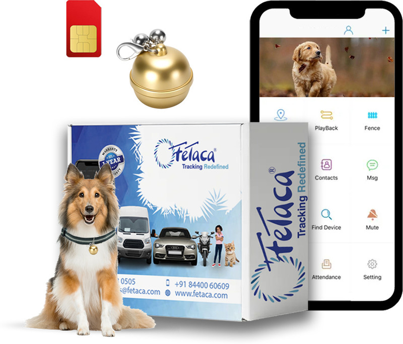 fetaca Smart Bell tracker for Pet Safety: Dogs, Cats, and More With Tracking Platform Location Smart Tracker(Golden)