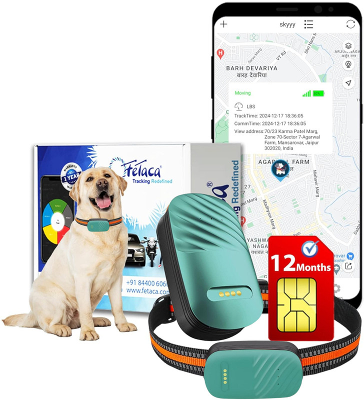 fetaca 4G Pet GPS Tracker w/ Free SIM & Collar | Live Tracking, Waterproof, Alerts Location Smart Tracker(Orange)