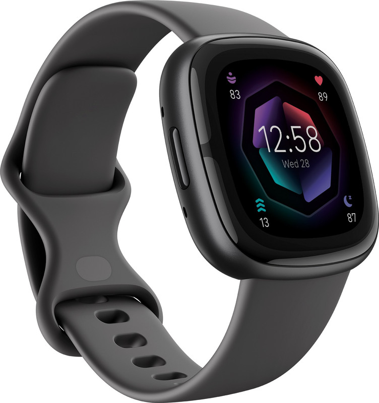 FITBIT Sense 2 Smartwatch(Grey Graphite Strap, L)
