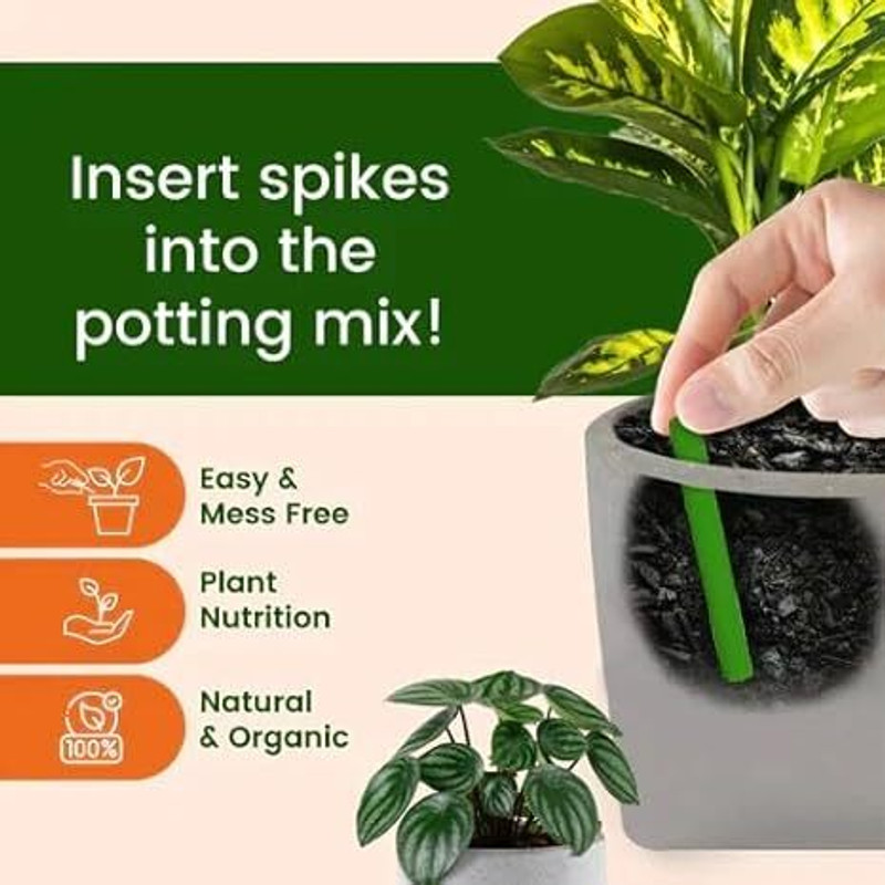 YTM Plant Food Fertilizer Sticks for Green Plants Home Garden, Fertilizer Sticks Potting Mixture, Fertilizer(20 Tablets, Stick)