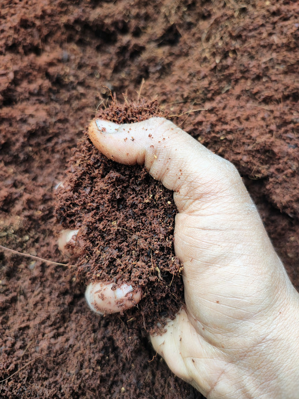 dhorganic 10kg Cocopeat Powder High Water Retention Soil Conditioner for Gardening Husk, Potting Mixture, Fertilizer(10 kg, Powder)
