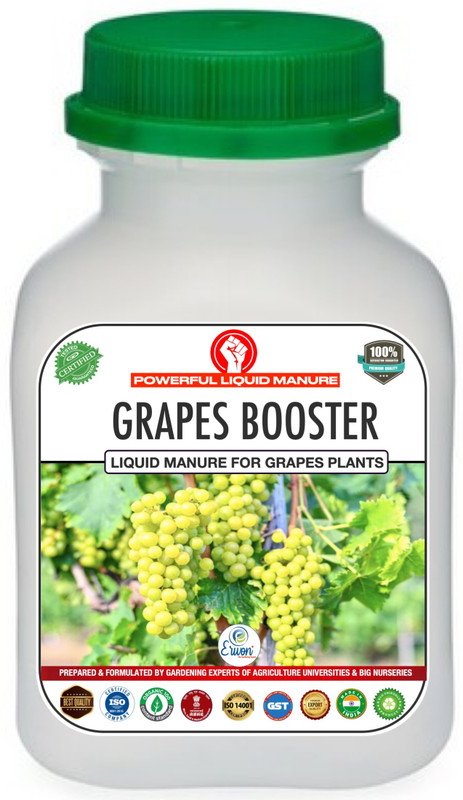 Erwon Grapes Booster Liquid Manure for the Best Growth of Grapes Plants. Manure(0.1 L, Liquid)