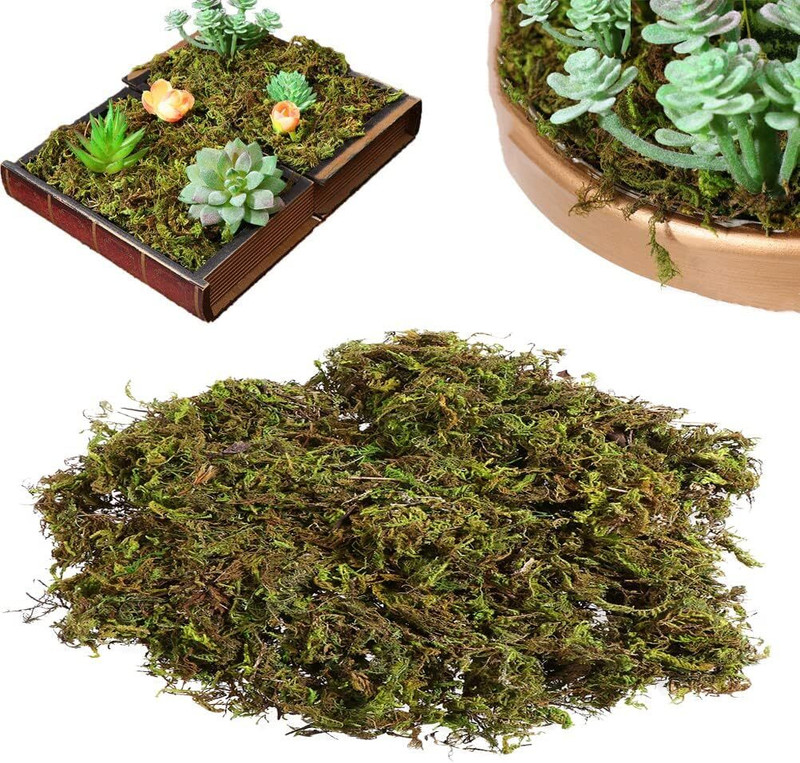 Alkarty NATURAL MOSS GRASS SPHAGNUM MOSS FOR PLANTS, PETS, KRAFT, DIY Soil(0.45 kg, Cake)