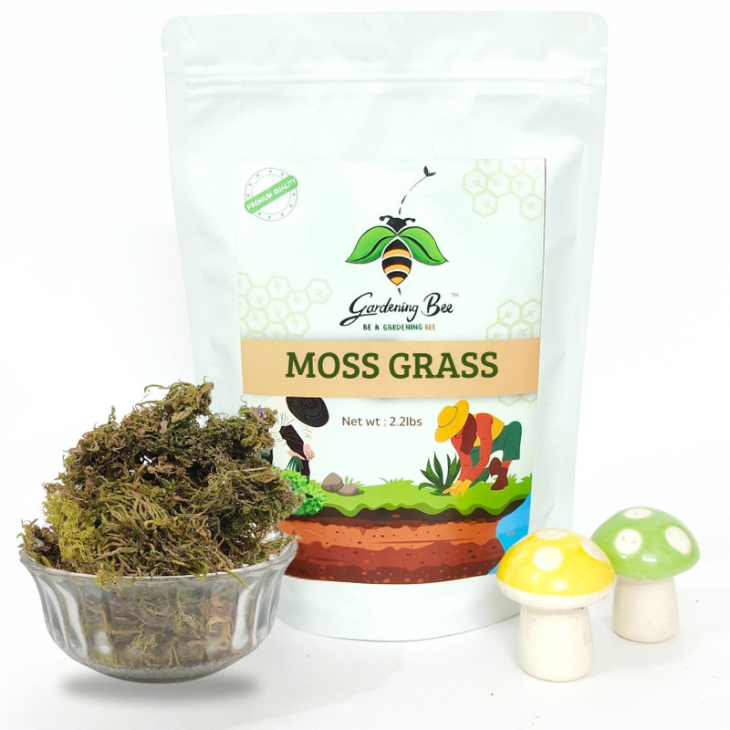 Gardening Bee Dried Moss for Plants: Natural Sphagnum, Garden, Potmix Mulching, & Soil Mix Potting Mixture(0.25 kg, Granules)