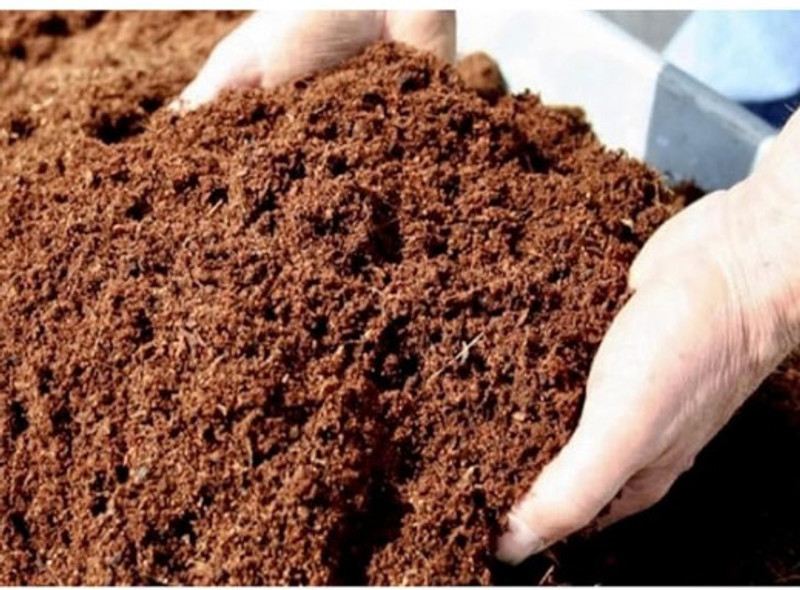 WEGROW COCOPEATPOWDER1KG Potting Mixture(1 kg, Powder)