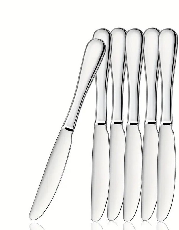 Haniza 6 tableware spoon 6 fork stainless steel_n Stainless Steel Serving Spoon Set(Pack of 12)
