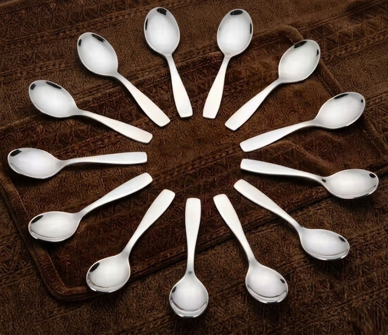 DINEZAAR Must Spices spoon, Stainless Steel Measuring Spoon Set(Pack of 12)