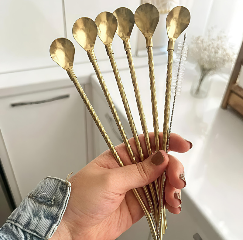 Rupela 6 Pcs Stainless Steel 2-in-1 Straw Cum Spoons Long Straws for Ice Tea, Milkshake Stainless Steel Dessert Spoon Set(Pack of 6)