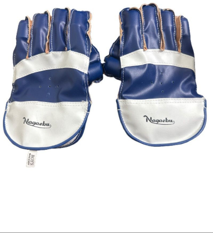 Nagaebu CRICKET WICKET KEEPER GLOVES Wicket Keeping Gloves(Blue)