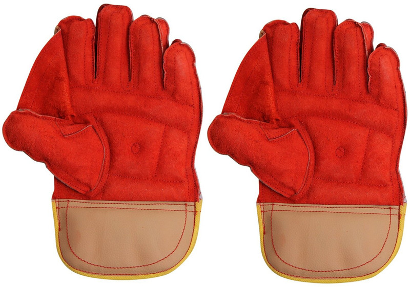 VIRLOK Keeping Gloves, Premium Leather for Palm for Easy Grip, Wicket Keeping Gloves(Multicolor)