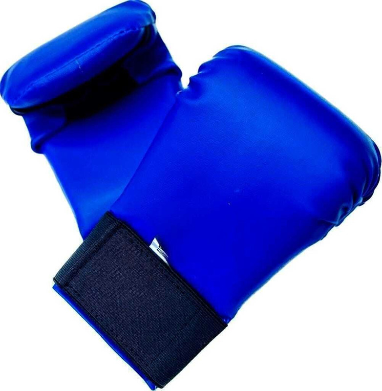 STYRKR Karate Gloves Boxing Training Gloves, , Karate Gloves for Unisex Boxing Gloves(Blue)