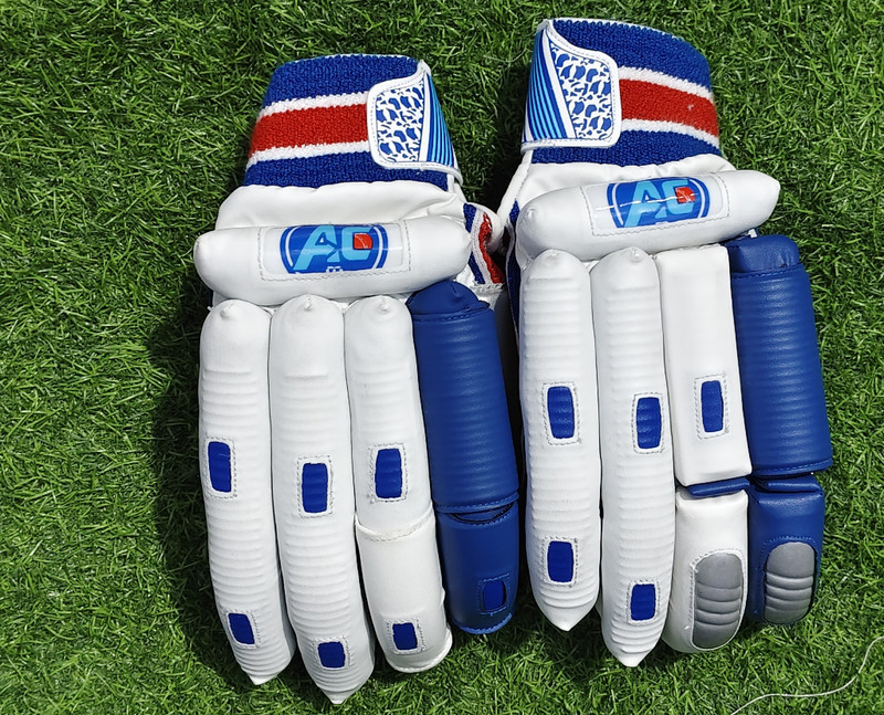 ACsprotzz Ac vk professional Batting Gloves(Blue, White)