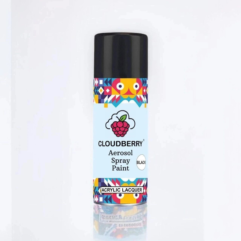 Cloudberry Gloss Finish Multi-Surface Car & Bike Touch-Up Aerosol – Gloss Black Spray Paint 400 ml(Pack of 1)