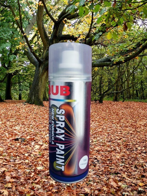 CUBE Activa / Car / Bike Black Spray Paint 400 ml(Pack of 1)