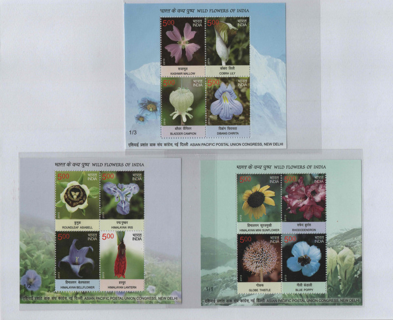 Shobhaphila Wild Flower Of India Miniature Stamp(3rd Sept 2013) Stamp Page Sheet(12 Stamps)