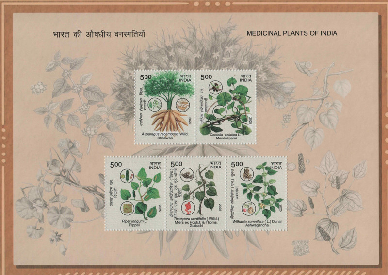 Shobhaphila Medicinal Plants Of India Miniature Sheet Stamp(19th Dec 2025) Stamp Page Sheet(1 Stamps)