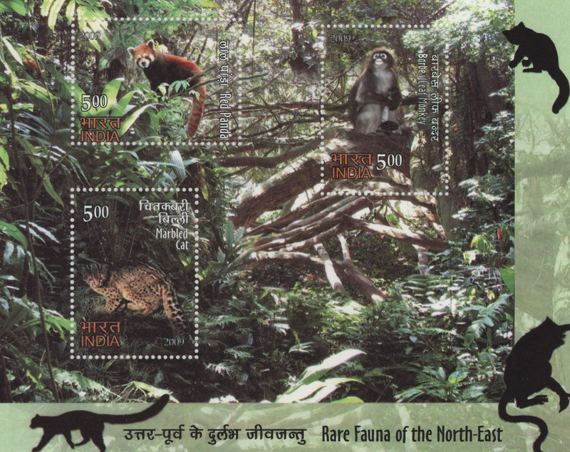 Shobhaphila Rare Fauna Of North East Miniature Sheet(1st Oct 2009) Stamp Page Sheet(1 Stamps)