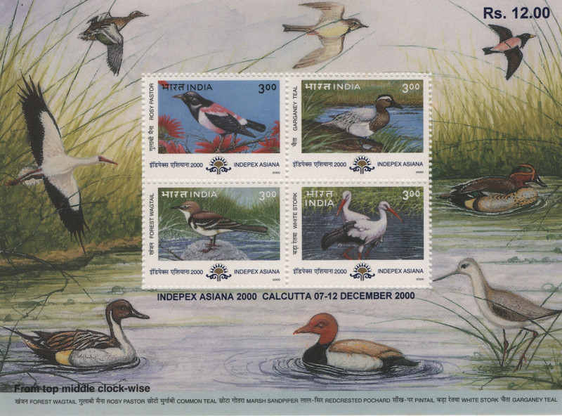 Shobhaphila Migratory Birds Miniature Sheet(24th May 2000) Stamp Page Sheet(1 Stamps)