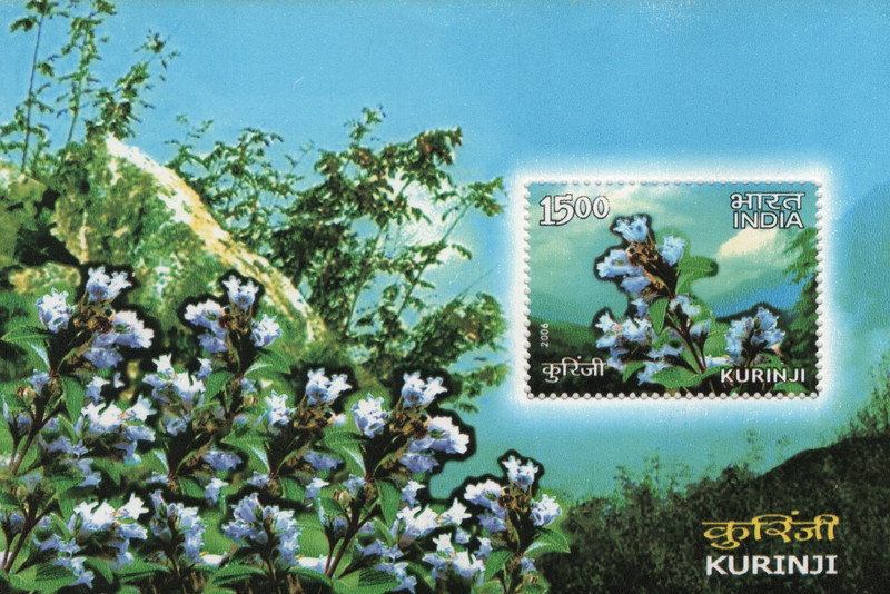 Shobhaphila Kurinji Miniature Sheet Stamp(29th May 2006) Stamp Page Sheet(1 Stamps)