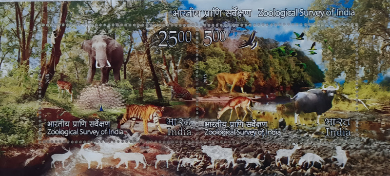 Hop n Shop India Zoological Survey of India Miniature Sheet 2015 Postage Stamp 2 Stamps Stamp Page Sheet(1 Stamps)