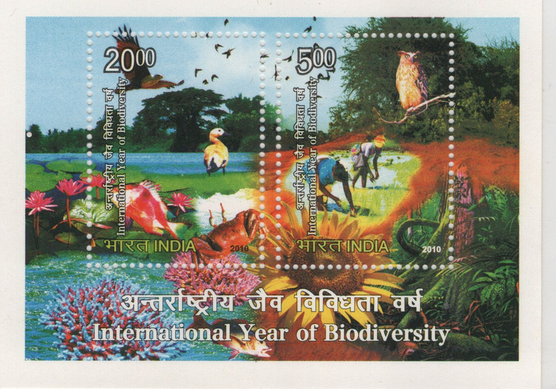 Shobhaphila Biodiversity Miniature Sheet(5th June 2010) Stamp Page Sheet(1 Stamps)