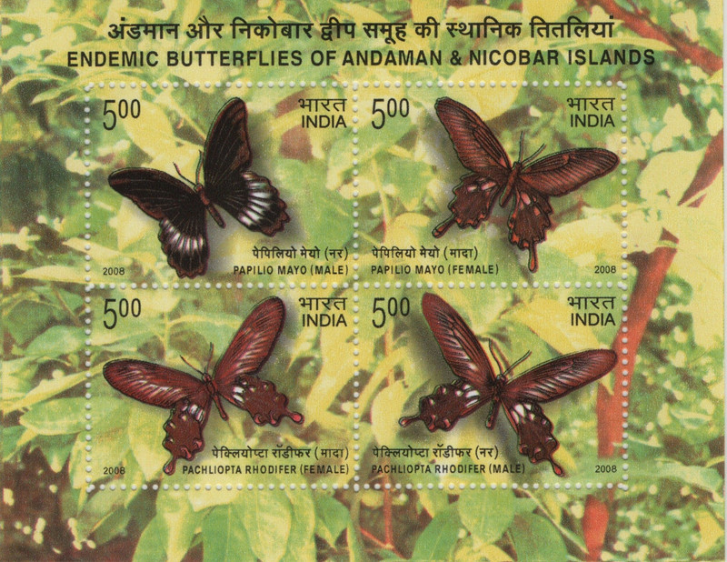 Shobhaphila Butterflies of Andaman Nicobar Miniature Sheet Stamp(2nd Jan 2008) Stamp Page Sheet(1 Stamps)