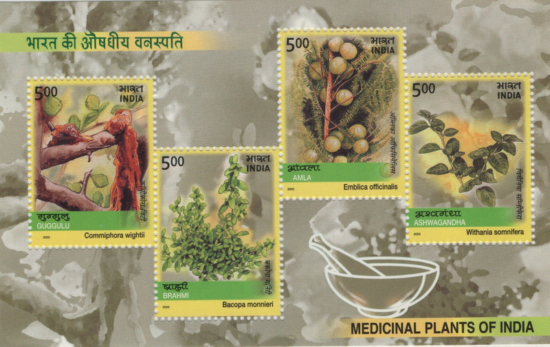 Shobhaphila I.N.S.Tarangini Miniature Sheet Stamp(25th Apr 2004) Stamp Page Sheet(1 Stamps)