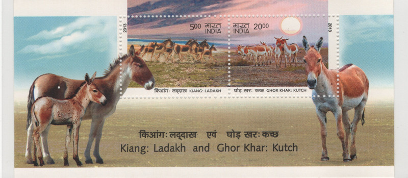 Shobhaphila Kiang- Ladakh & Ghor Khar Kutch Miniature Stamp(10th May 2013) Stamp Page Sheet(2 Stamps)