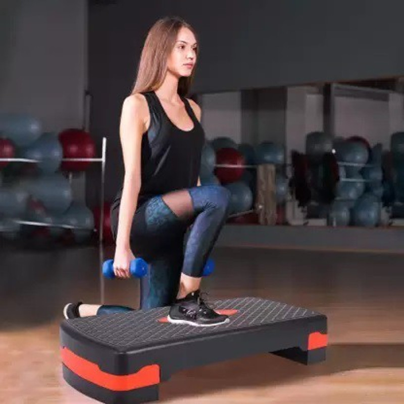 sharon enterprises SPRAY FITNESS Stepper Stepper(Black, Black)