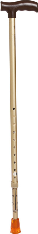 TYNOR Walking Stick L type, Golden, Universal Size, 1 Unit Gymnastic Stick - 243.84 cm(Black)