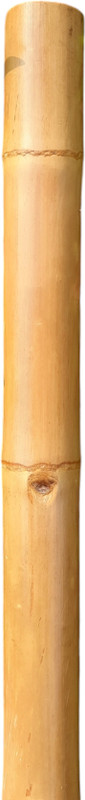 Das Departmental Store 5.5 Ft | Exercise | Walking | Fire Fighting | Solid Bamboo Gymnastic Stick - 66 inch(Gold)
