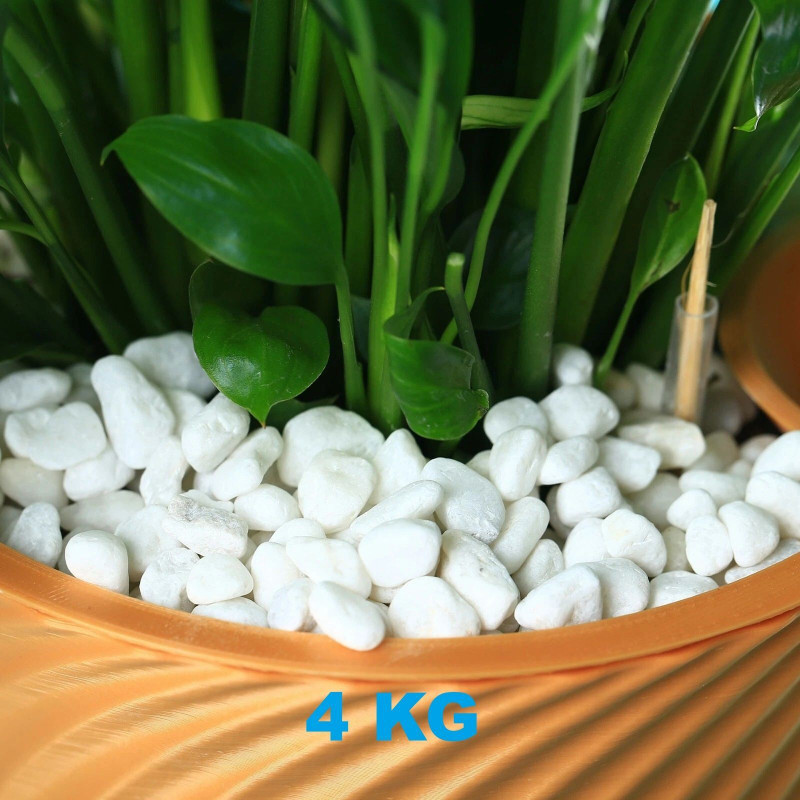 SMAB White Pebble Stones 1 KG for Plants Garden Aquarium Decoration Marble Polished Asymmetrical Marble Stone(White 1 kg)