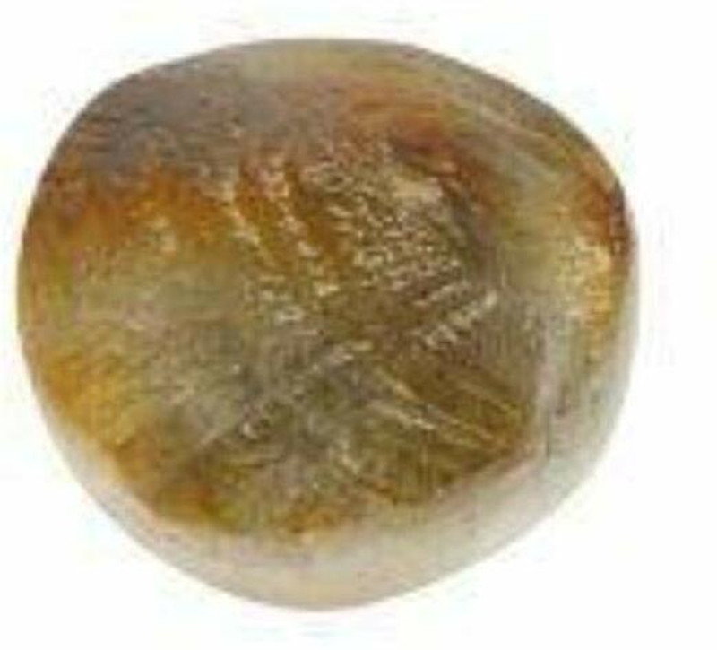 hoseki Machh Mani with Lab Certification stone Regular Asymmetrical Crystal Stone(Multicolor 1 Pieces)