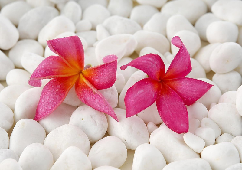 Puyangam Tailor Bird Polished White Pebbles Regular Angular Crystal Stone(White 1 kg)