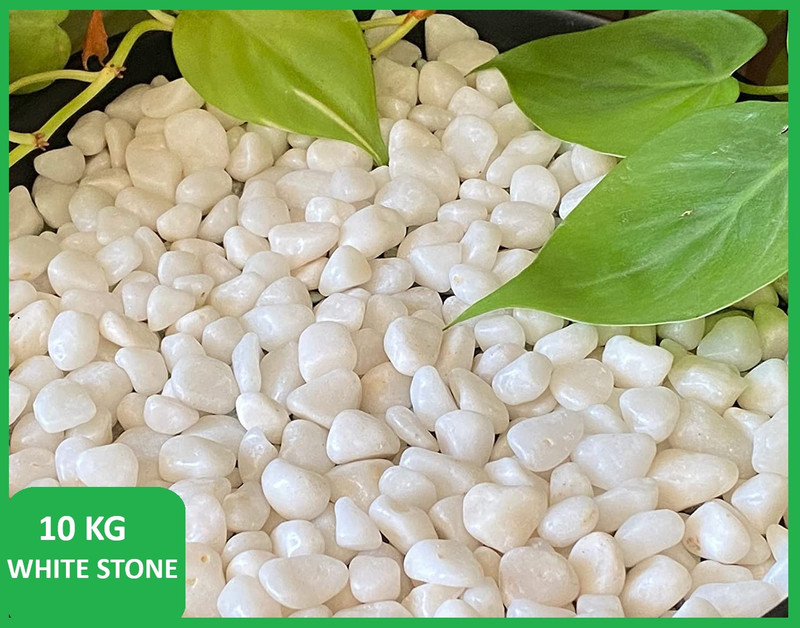SMAB White Pebble Stones 10 KG for Plants Garden Aquarium Decoration Marble Polished Asymmetrical Granite, Marble, Rock Stone(White 10 kg)