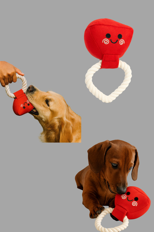 TEDDY TOWN Ring Ultra Premium Dog Soft Toy For Dogs For Play  - 15 cm(Red)