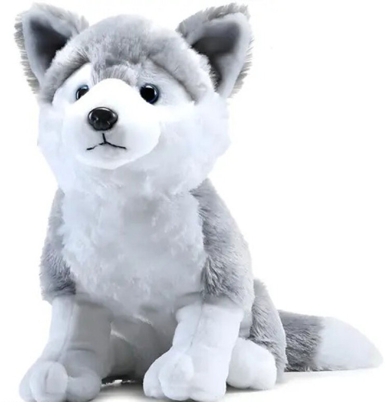 Cyrus Husky Dog Stuffed Animal Puppy Soft Toy, Birthday Gift, Adorable Gifts for Kids - 30 cm(White, Grey)