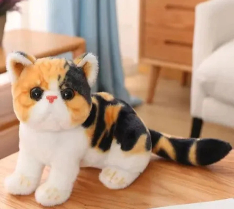 Divyanshi Enterprises Soft toy cat - 28 cm(Multicolor)